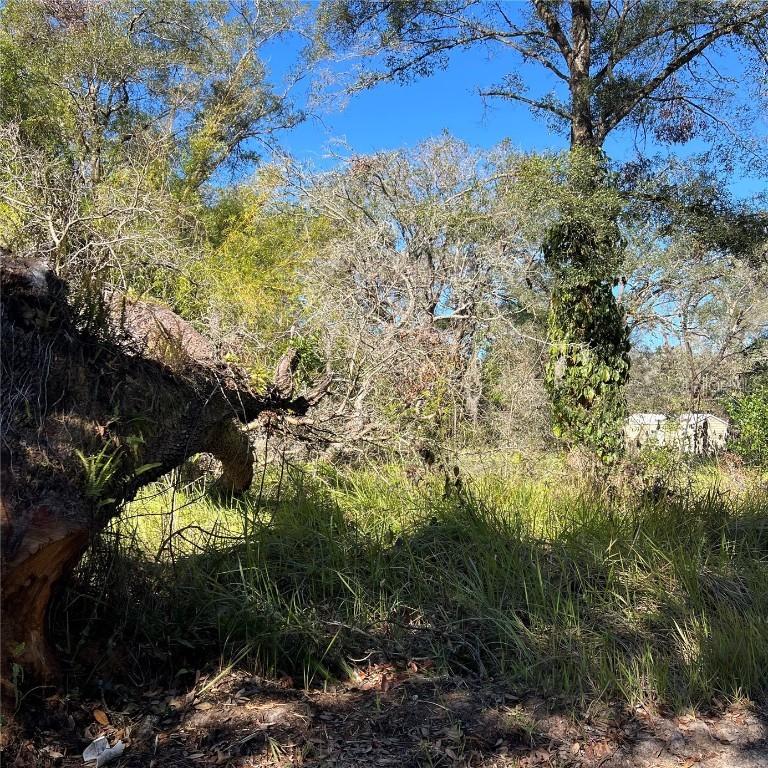 Durden Rd., Dade City, FL 33523
