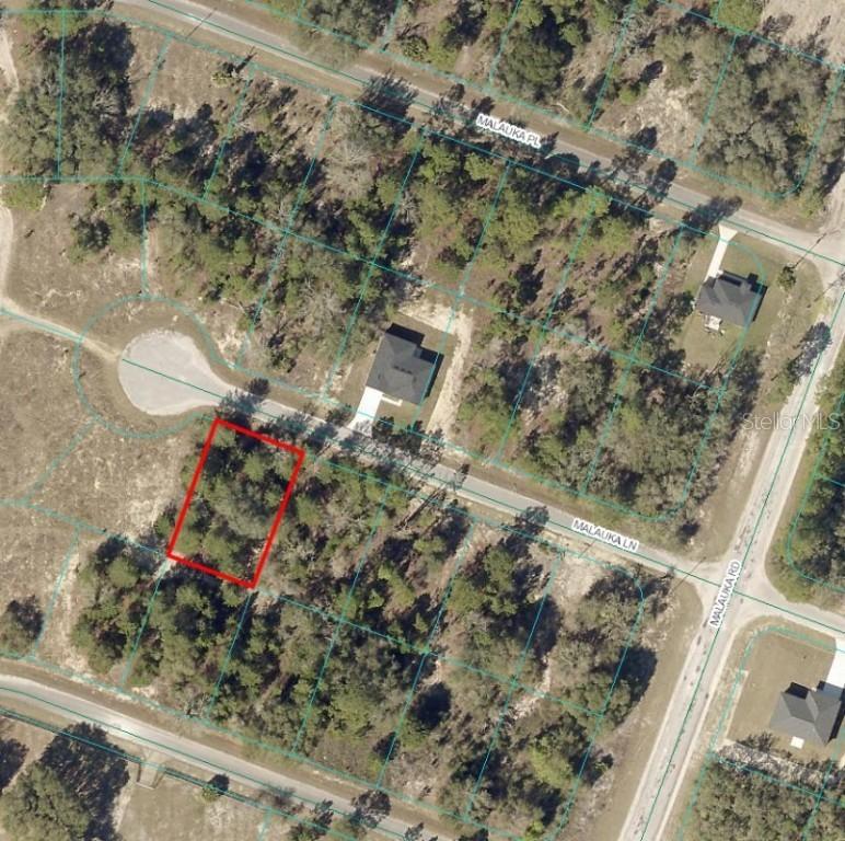 [Address Unavailable], Ocklawaha, FL 32179