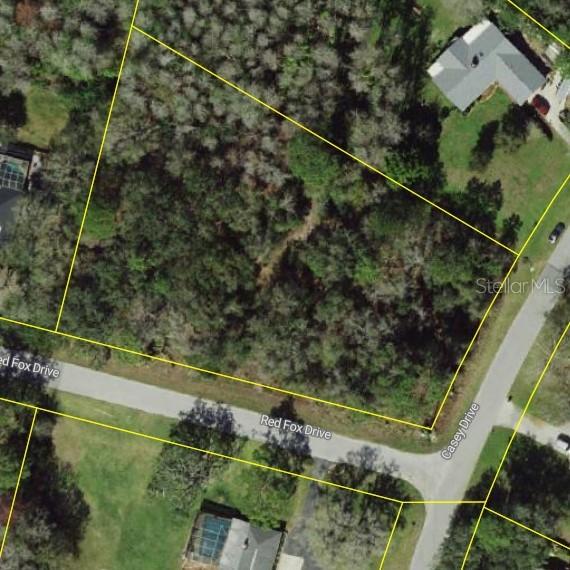 Casey Dr., New Port Richey, FL 34654