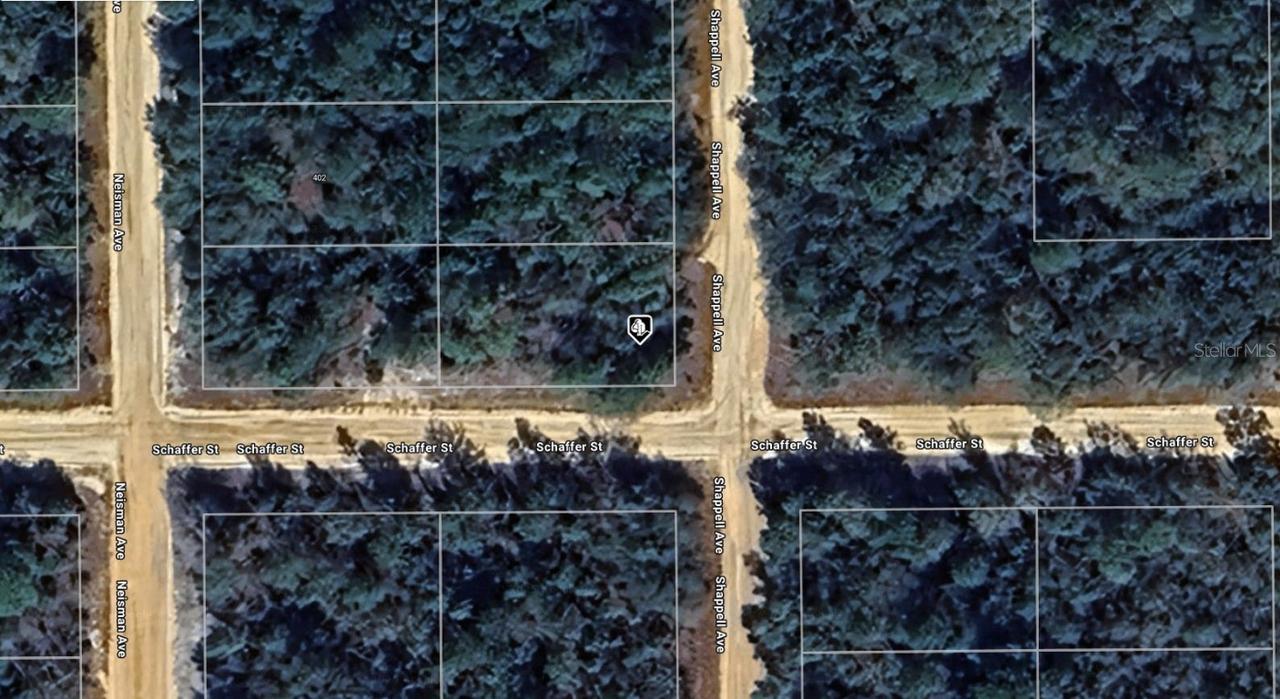 403 Shappell Ave., Interlachen, FL 32148