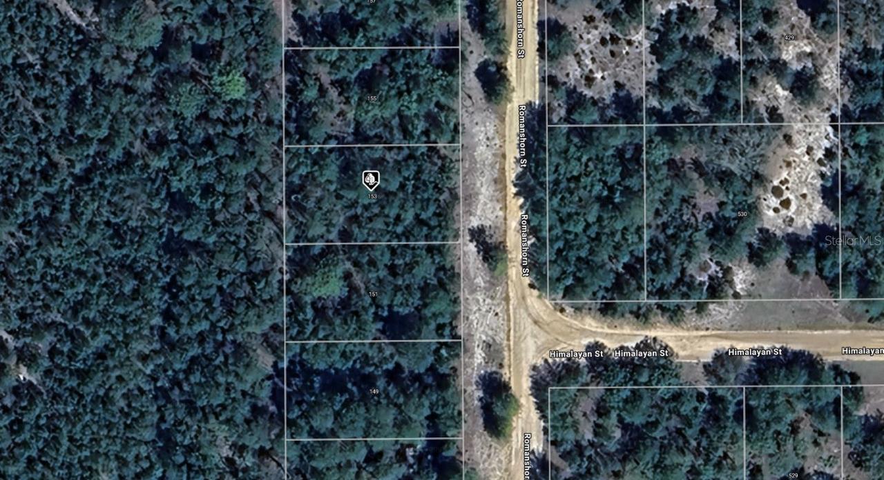 153 Romanshorn St., Interlachen, FL 32148