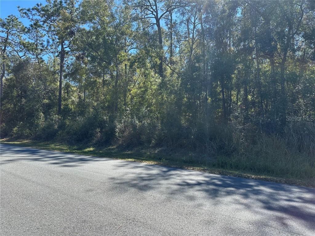 2640 W Fairway Loop, Citrus Springs, FL 34434