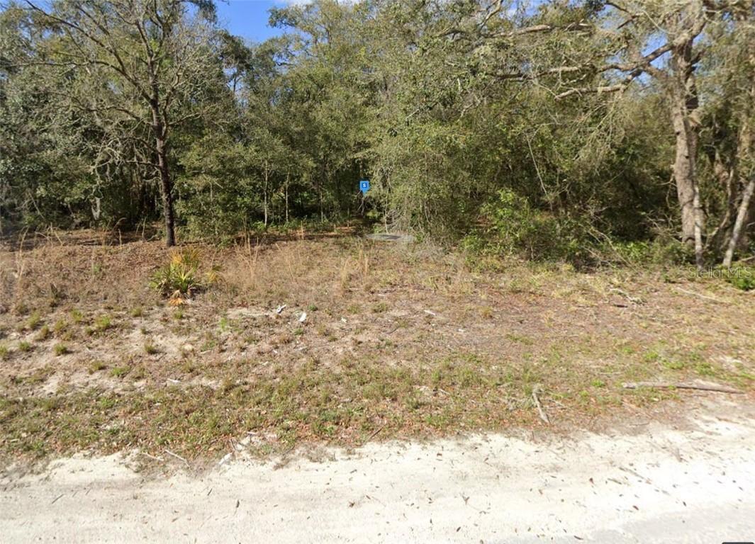 34225 Shaffer Dr., Dade City, FL 33523