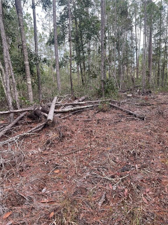 134 E Dixie St., Palatka, FL 32177