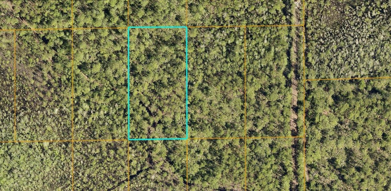 Inaccessible Track, Deland, FL 32724