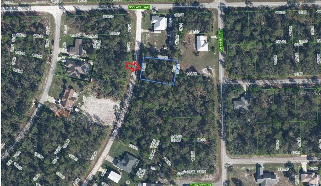 947 Cork Tree Rd., Lake Placid, FL 33852