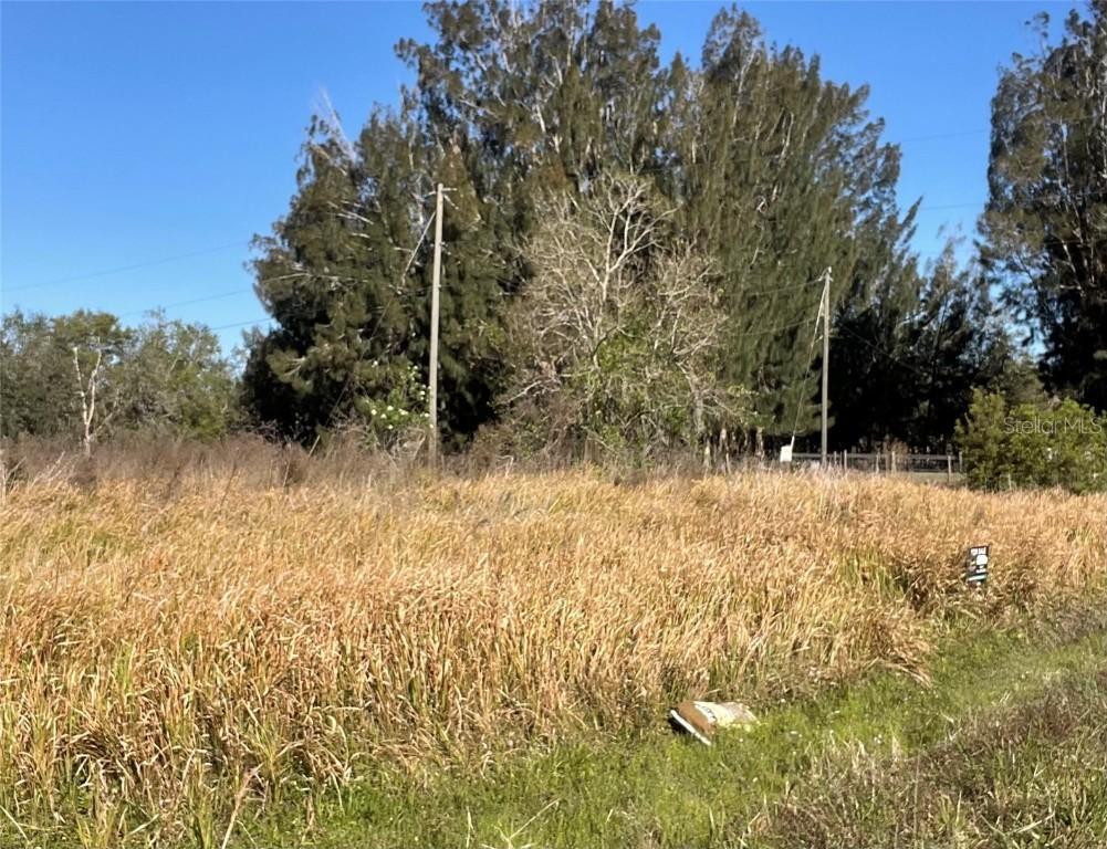 1367 Sparrow Rd., Wauchula, FL 33873