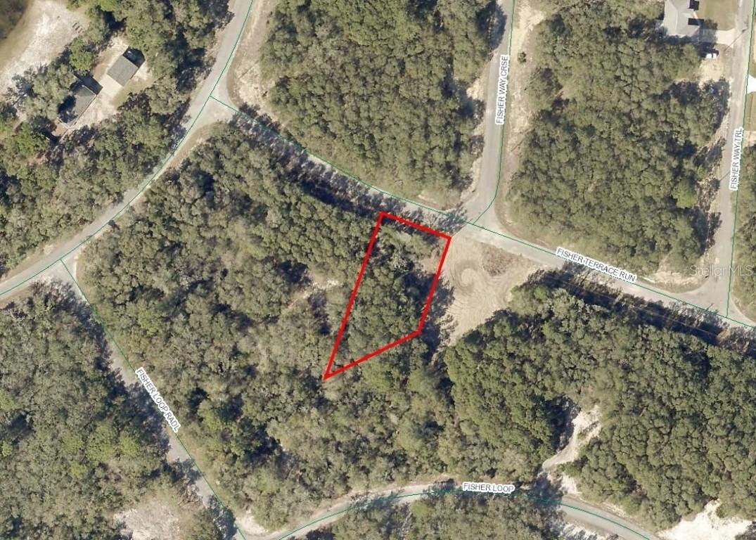 24 Fisher Terrace Run, Ocklawaha, FL 32179