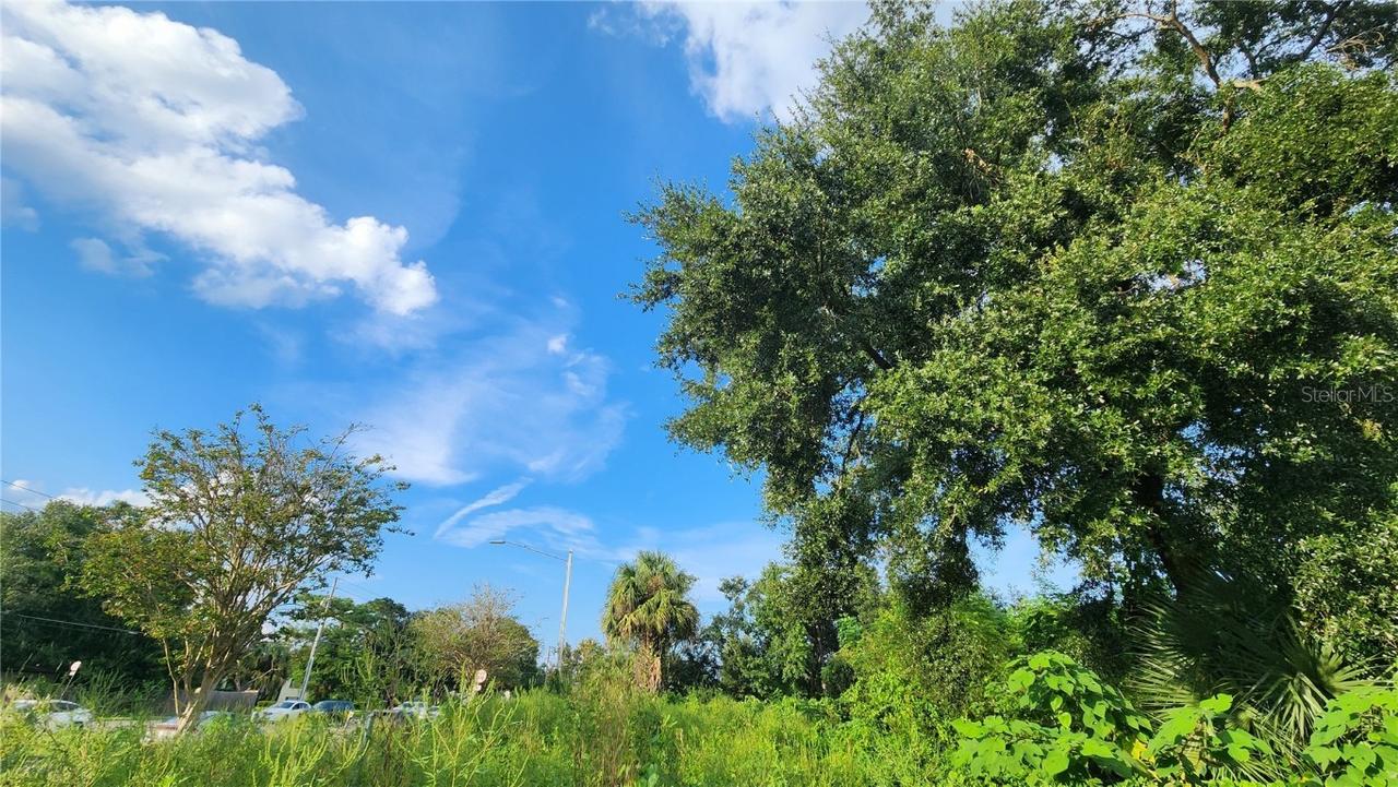 2201 S Goldenrod Rd., Orlando, FL 32822