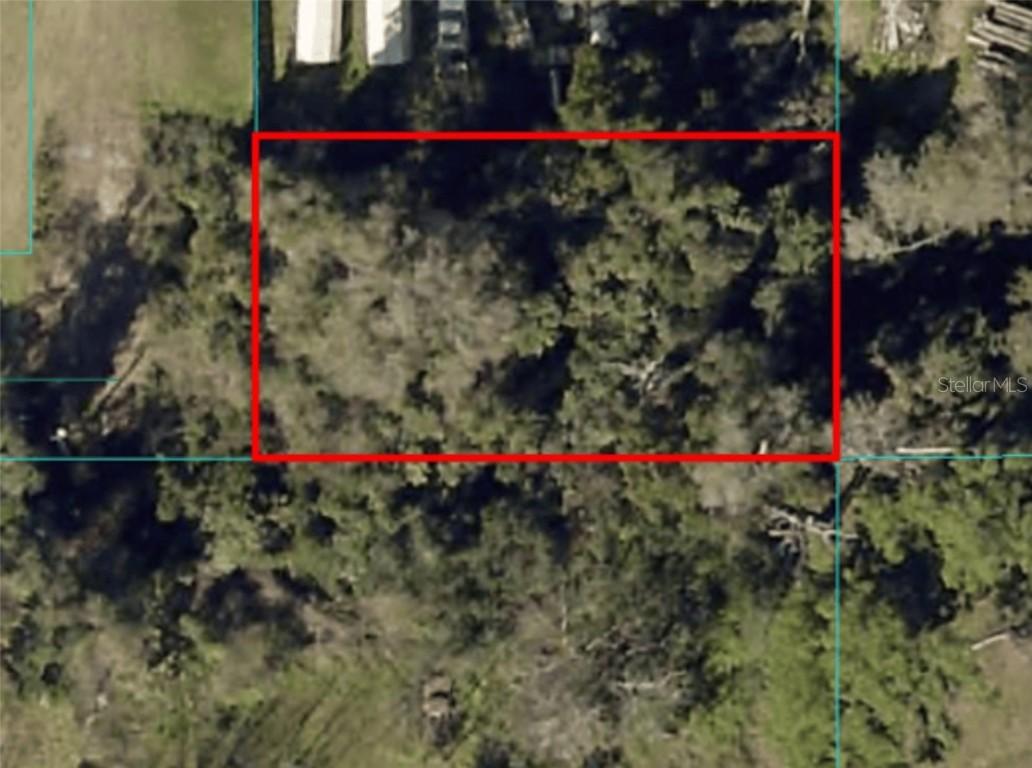 SE 142nd Pl., Summerfield, FL 34491