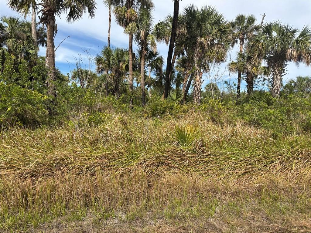 Melissa Ter., North Port, FL 34286
