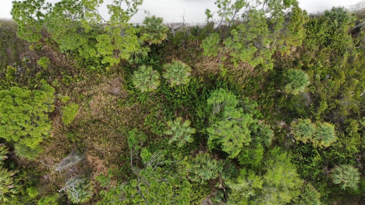 1254 Poco Ter., Punta Gorda, FL 33983