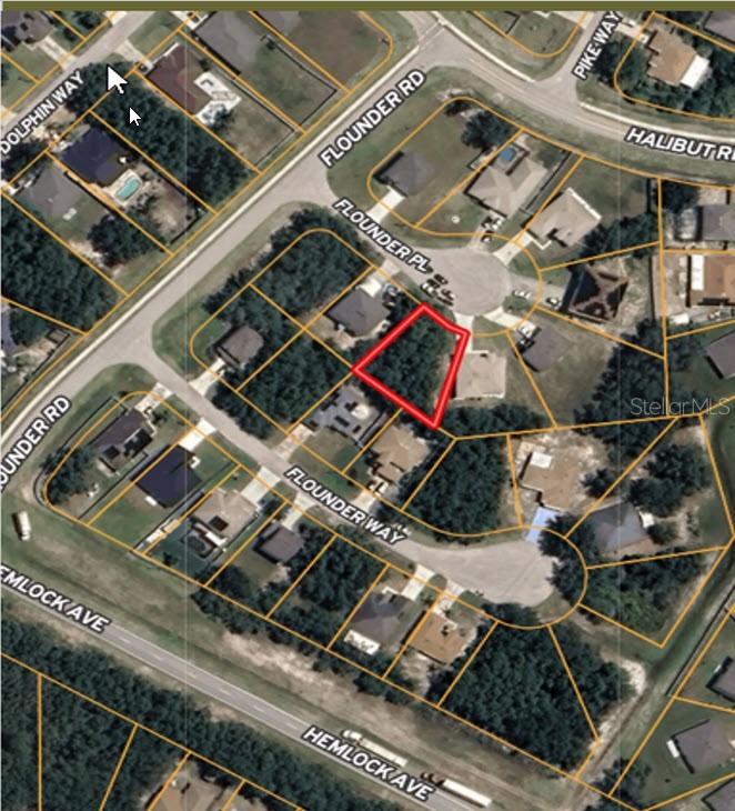 204 Flounder Pl., Kissimmee, FL 34759