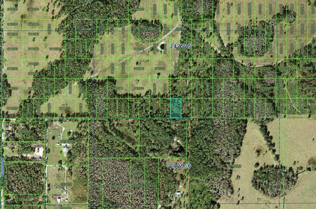 Inaccessible Tracts, Polk City, FL 33868