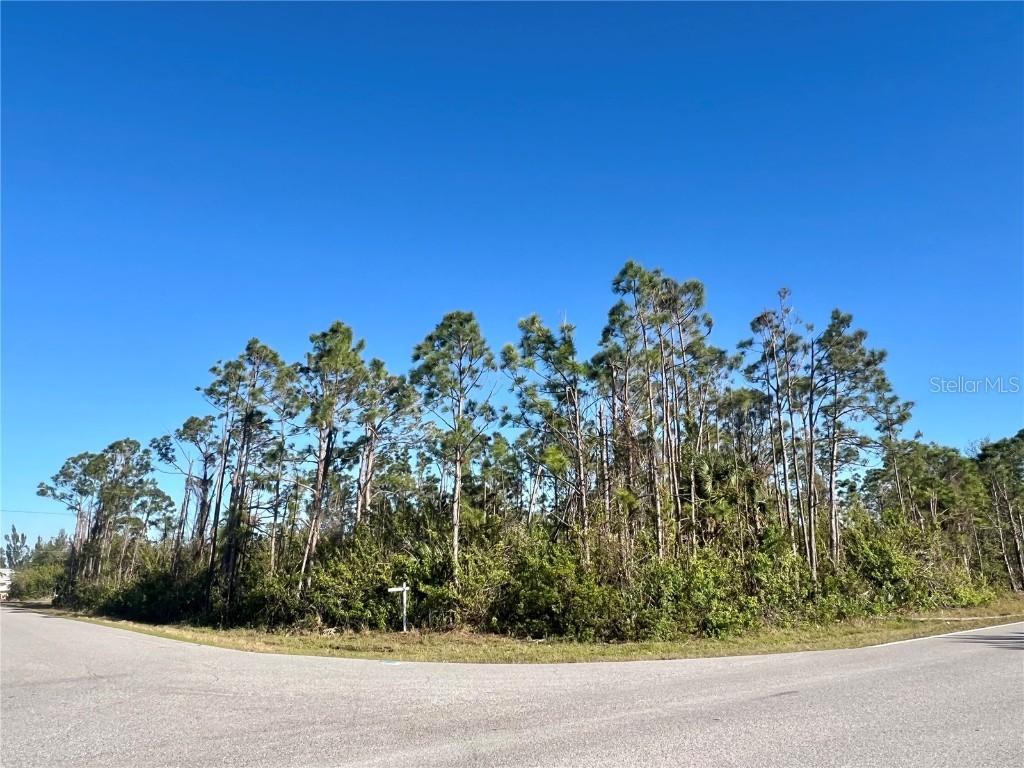 15249 Red Head Ave., Port Charlotte, FL 33981