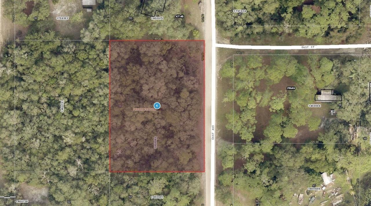 01-17-28-0100-000-05600 East Ave., Paisley, FL 32767