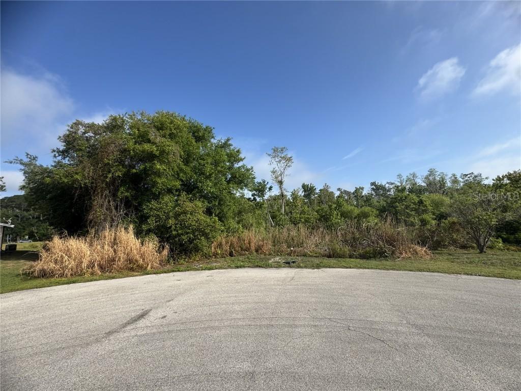 7540 Willow Wisp Dr., Lakeland, FL 33810