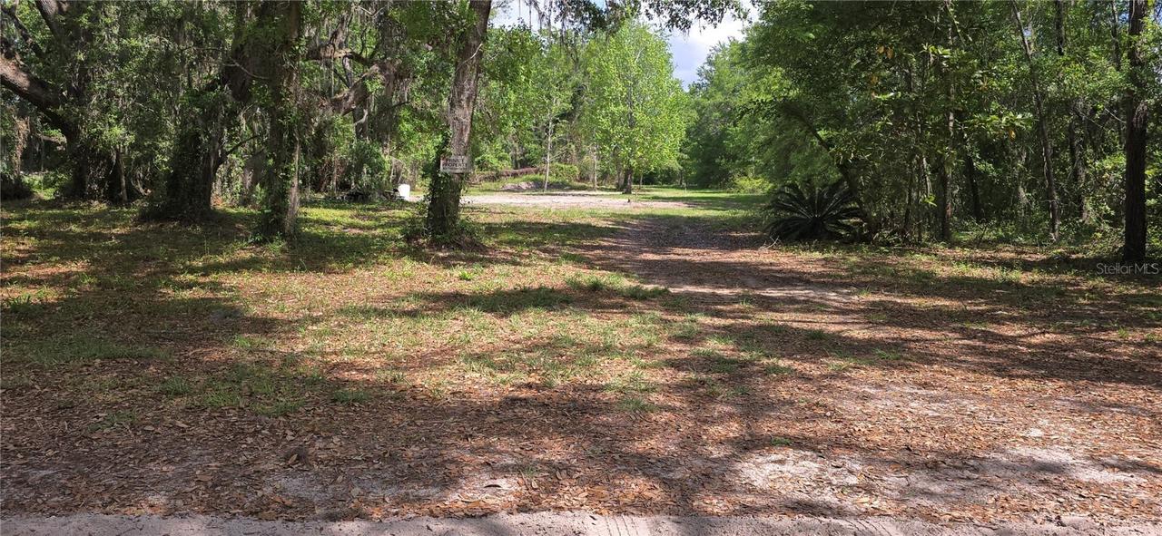 3199 168th St., Wellborn, FL 32094
