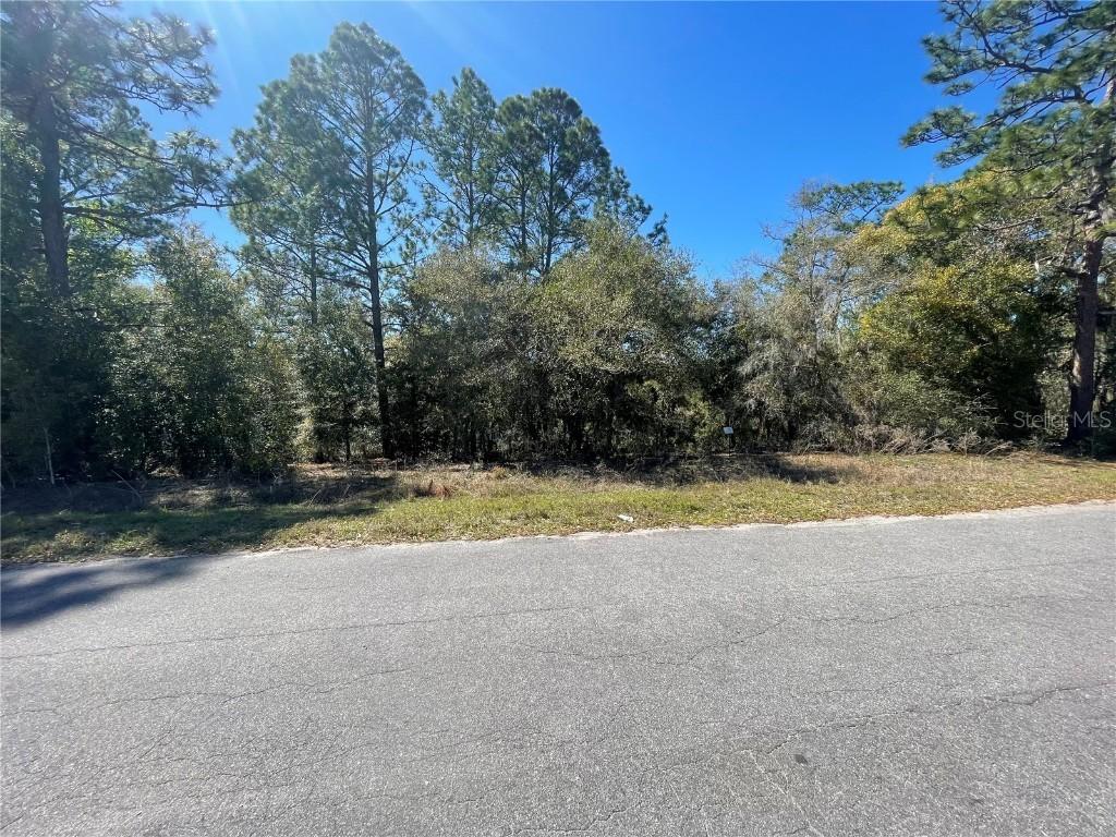 Lot 17 Malauka Loop, Ocklawaha, FL 32179