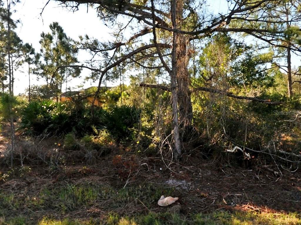 Schoen St., North Port, FL 34291