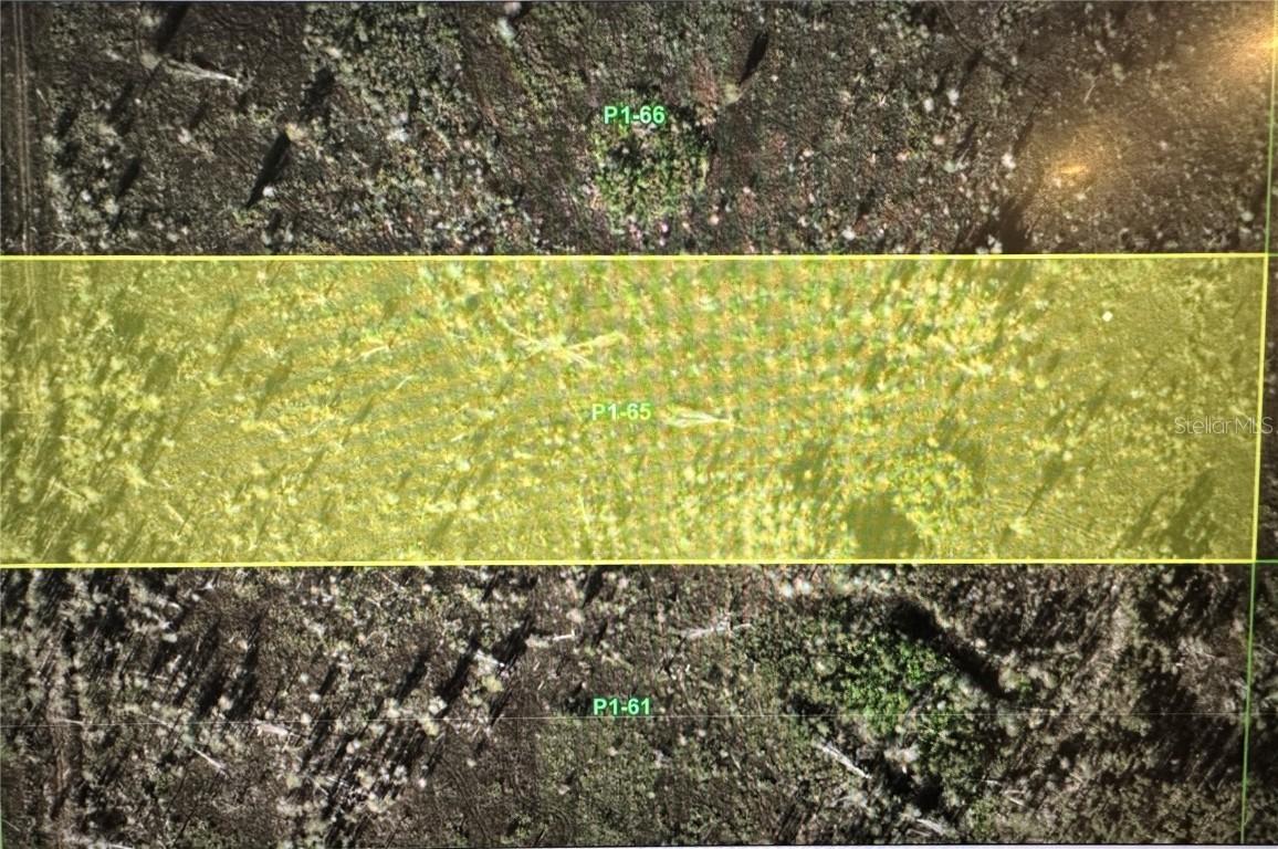 33412 Oil Well Rd., Punta Gorda, FL 33955