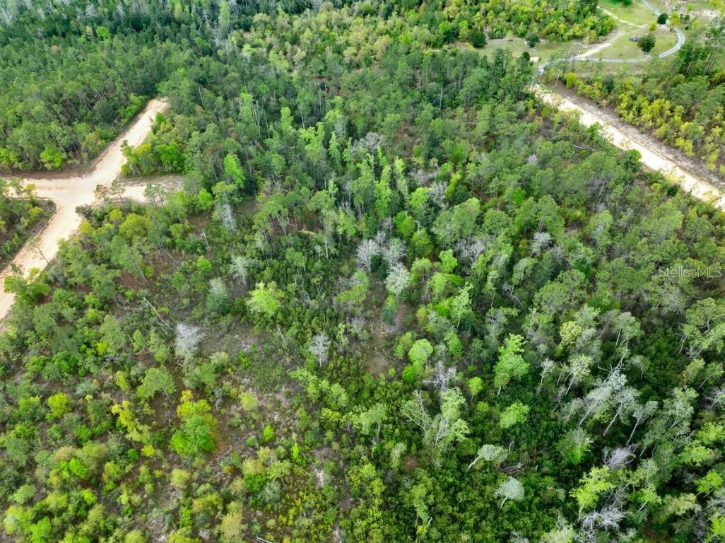 Castle Cir., Alford, FL 32420