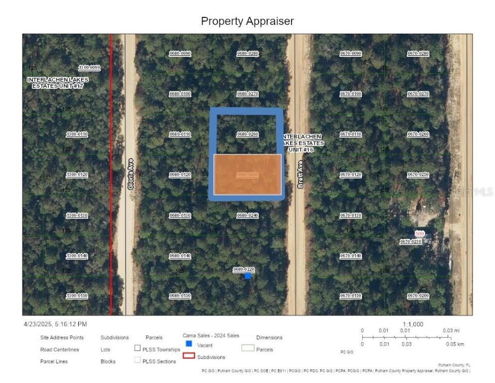 Double Lot Brett Ave., Interlachen, FL 32148