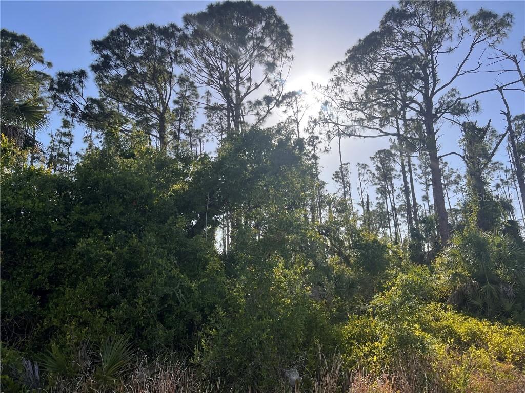 Rufus Rd., North Port, FL 34288