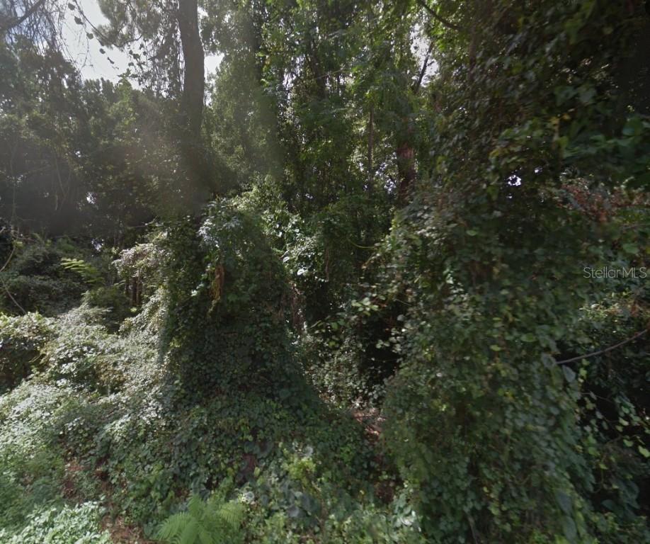 Lot 12 SE 126th Ln., Belleview, FL 34420