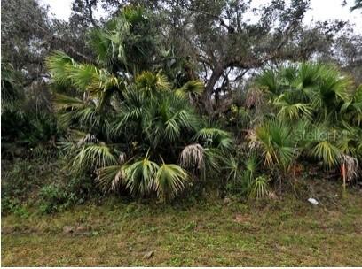 Babroff Ter., North Port, FL 34291