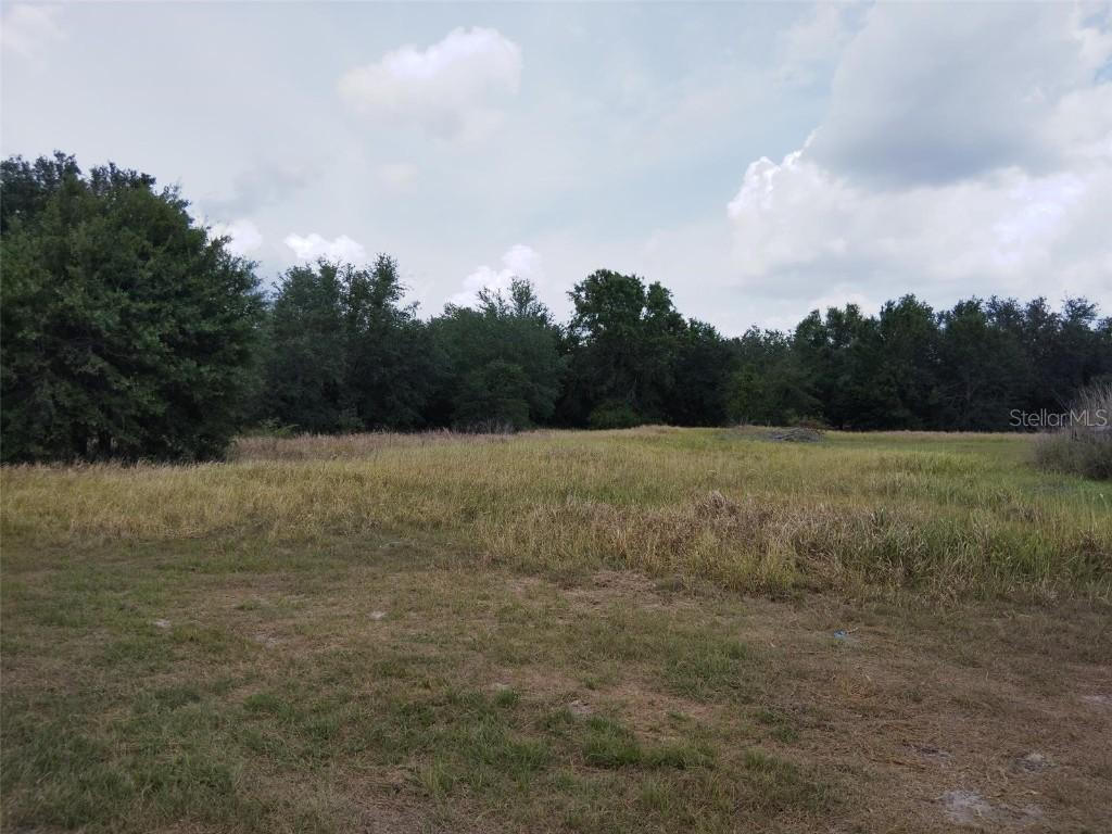 9236 Tolbert Stephens Rd., Ona, FL 33865