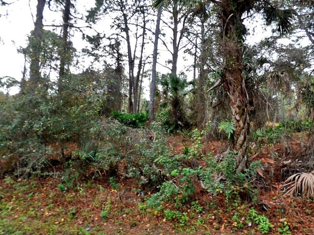 Lady Slipper Ave., North Port, FL 34291