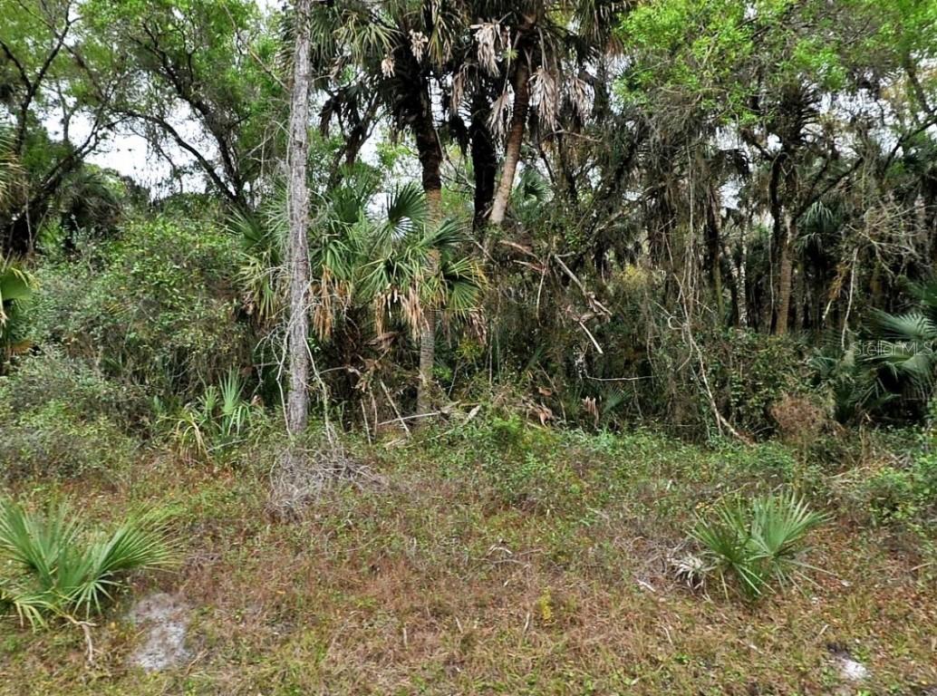 Hurdle Rd., North Port, FL 34291