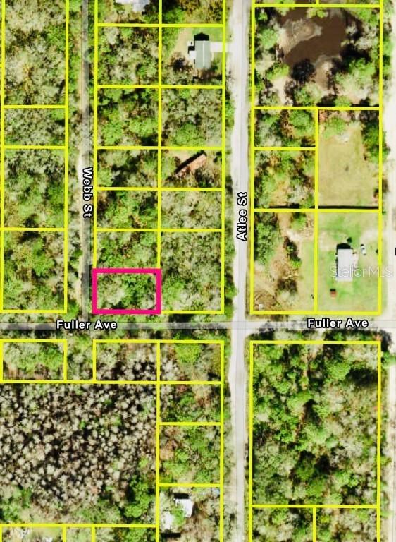 Webb St., New Port Richey, FL 34654