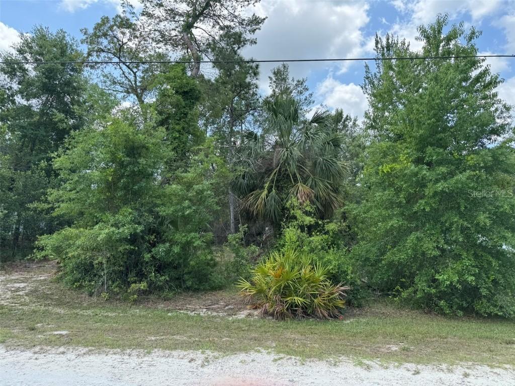 9004 Senior Way, Weeki Wachee, FL 34613