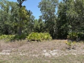 Gaskins Cir., North Port, FL 34288