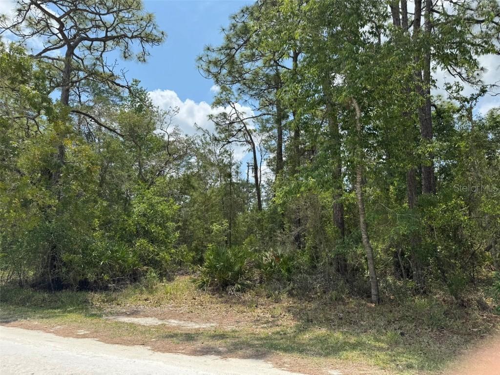 Lot 55 Nakoma Way, Brooksville, FL 34613