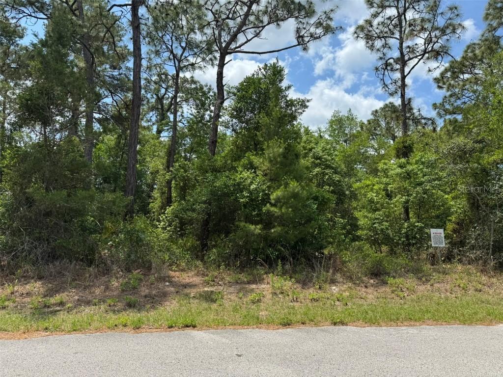 Lot 79 Waterbird Way, Brooksville, FL 34613