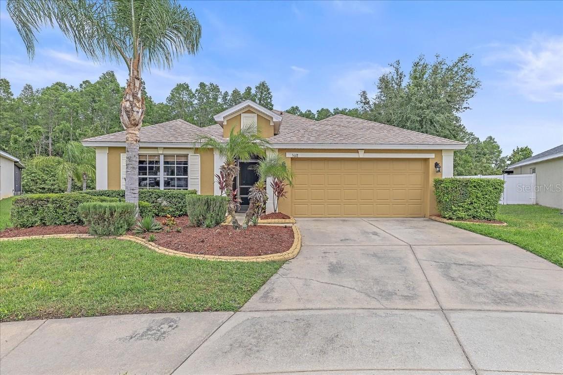 5618 Sheer Bliss Loop, Land O Lakes, FL 34639