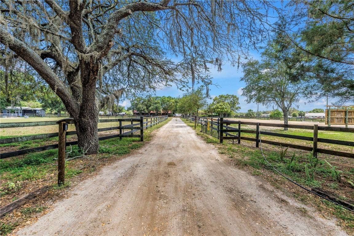 12714 Tyler Run Ave., Odessa, FL 33556
