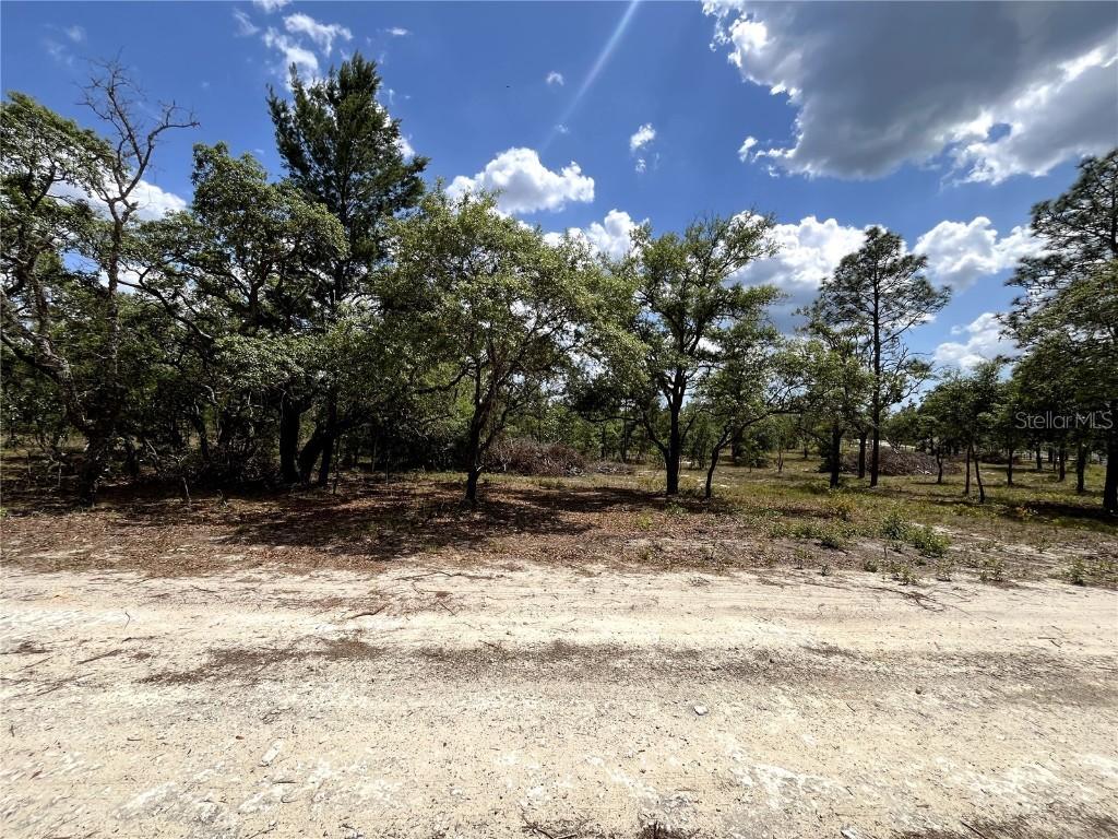 TBD SE 95th St., Dunnellon, FL 34431