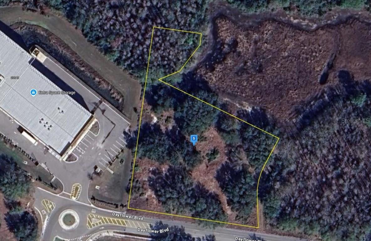 27561 Dayflower Blvd., Wesley Chapel, FL 33544