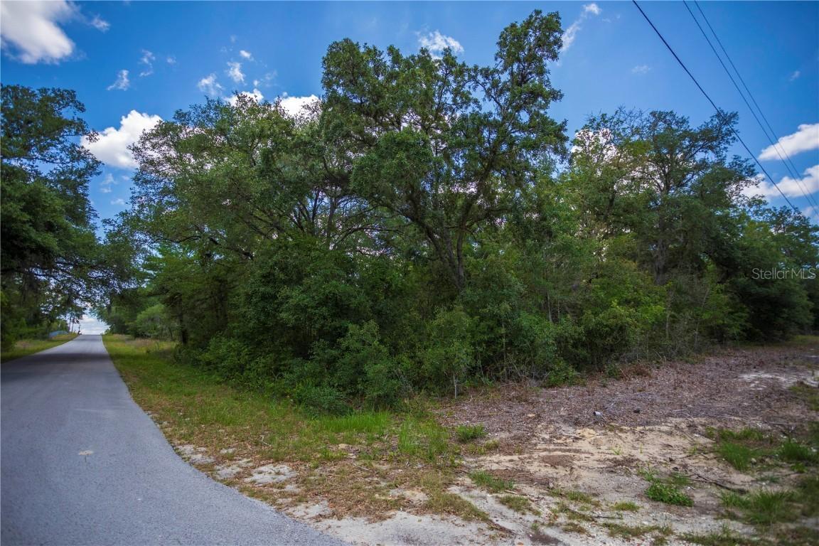 SW Winding Hills Rd., Dunnellon, FL 34431