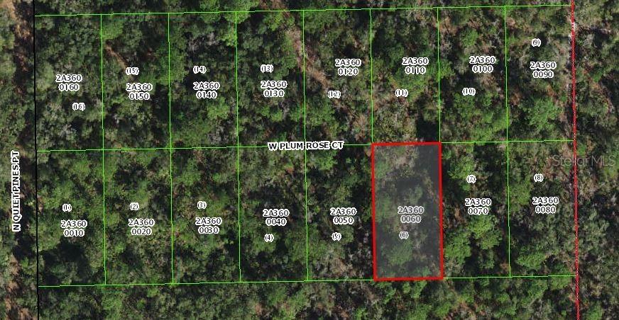 9782 W Plum Rose Ct., Crystal River, FL 34429