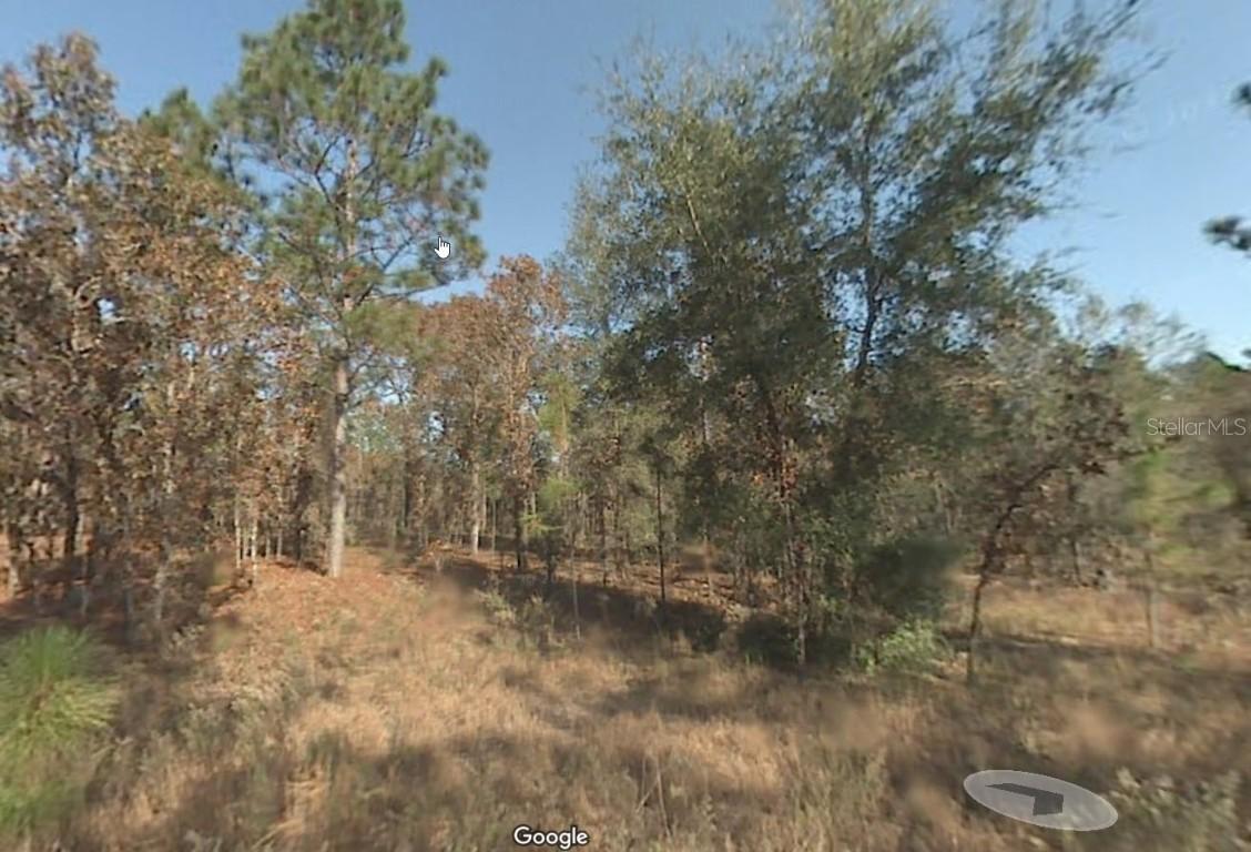 SW 26th Pl., Ocala, FL 34481