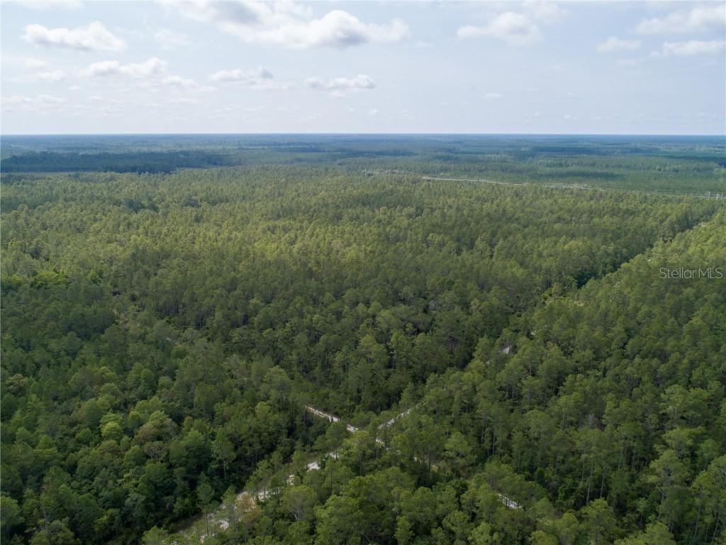 Donna St., Hastings, FL 32145