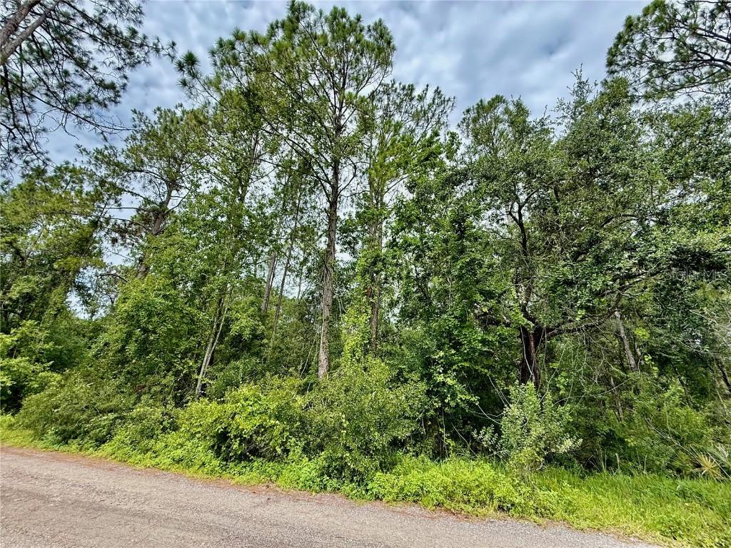 Westpoint Dr. #LOT#474, Wesley Chapel, FL 33544