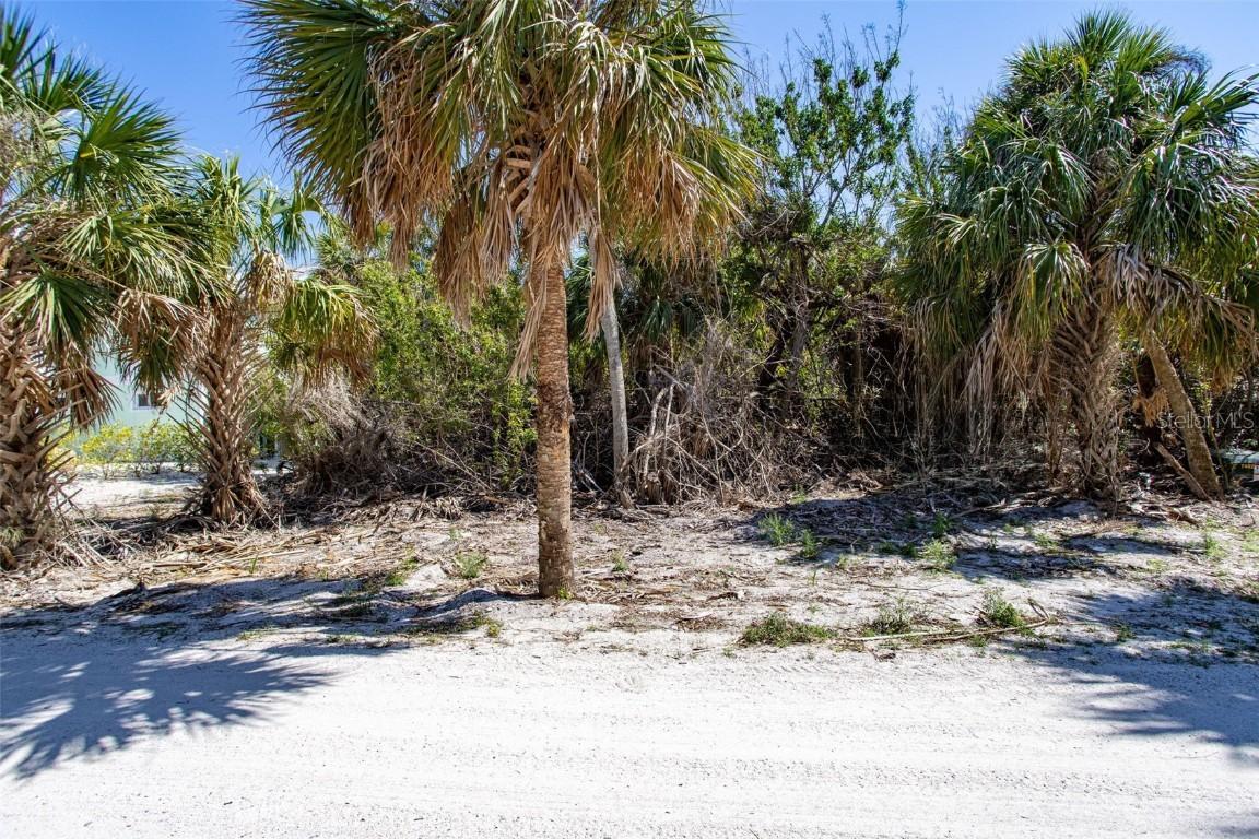 72 Palm Dr., Placida, FL 33946