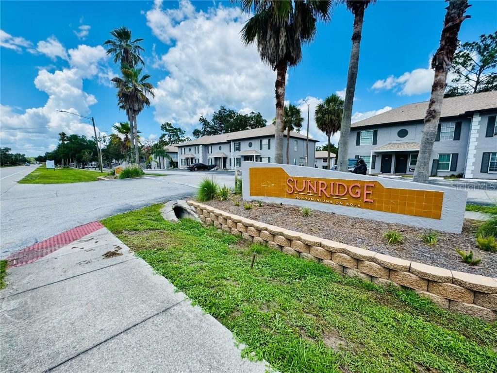 5238 Sunridge Palms Dr., Tampa, FL 33617