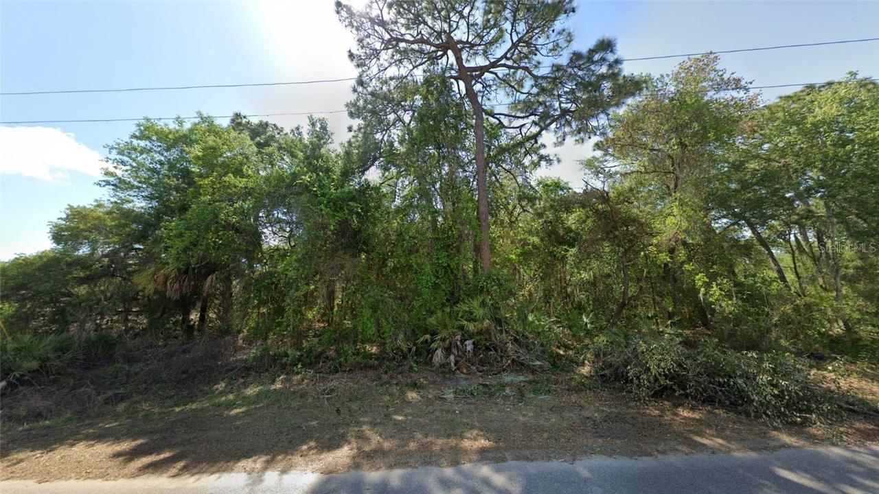 1188 S Gettysburg Dr., Homosassa, FL 34448